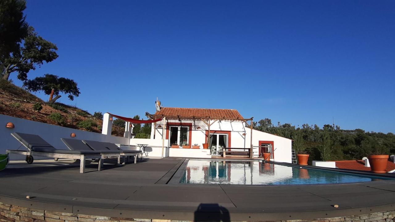 Gecko Pego Longo Vila São Luis Exterior foto