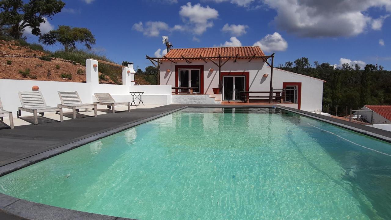 Gecko Pego Longo Vila São Luis Exterior foto